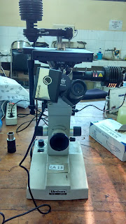 mikroskop optik wahyu
