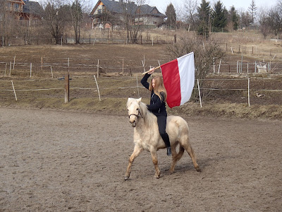 konie, jazda konna, zabawa z koniem, straszenie konia