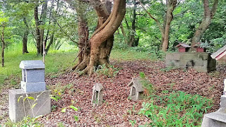 人文研究見聞録：弥久賀神社（彌久賀神社） ［島根県］