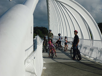 an awesome bridge on the walkway!