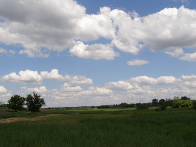 Запорожская область, село Н. Ивановка