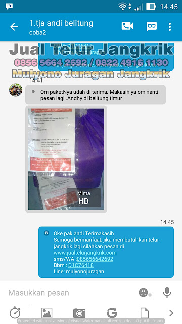 JUAL TELUR JANGKRIK testimoni PART3 dari pelanggan