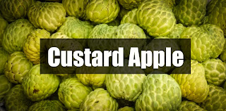 health benefits of custard apple fruit in hindi   सीताफल का सेवन करने से क्या-क्या फायदे मिलते हैं! 