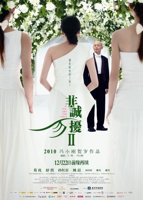 Regarder 非诚勿扰2 2010 Film Complet En Francais