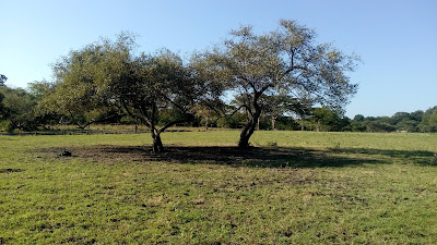 Taman Nasional Baluran