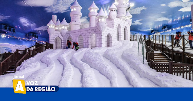 São Paulo terá o maior parque temático de neve do Brasil: veja o que esperar da atração