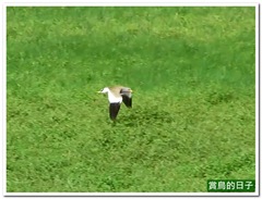 20120325_145208_06411_TianLiaoyang