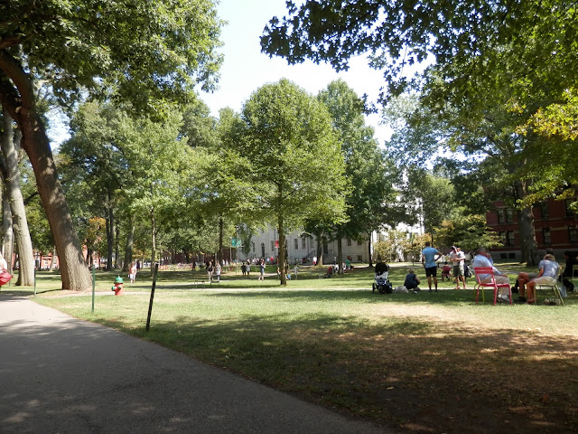 Visite de l'Université d'Harvard