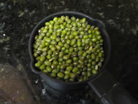 How to sprout moong dal