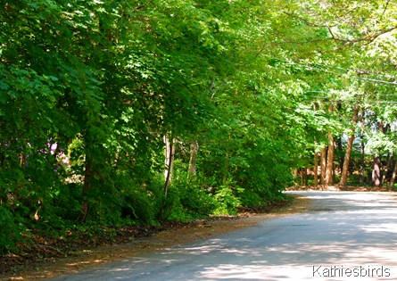 2. CarliseStreet 6-6-11-kab