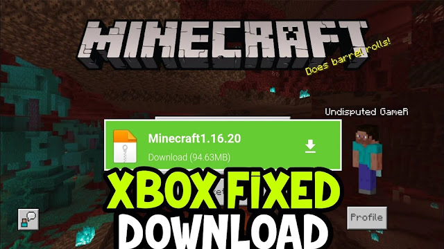Minecraft PE 1.16.20 FULL version for Android