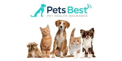 Good News Pets Best Pet Insurance Review & Prices
