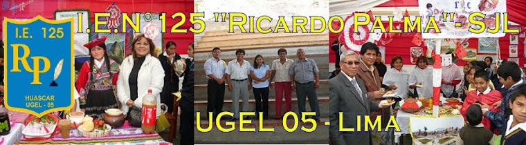 I.E. Nº 125 "RICARDO PALMA"  SJL