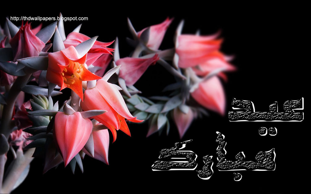 Wallpaper proslut: Free Eid Mubarak Cards Red Flowers 