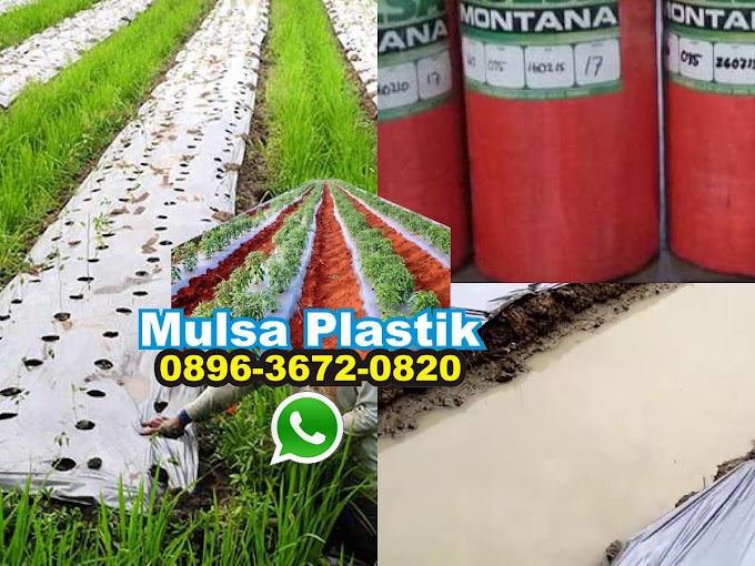 Plastik Mulsa Jogja