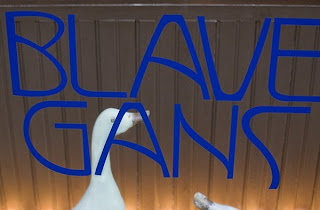 Blaue Gans