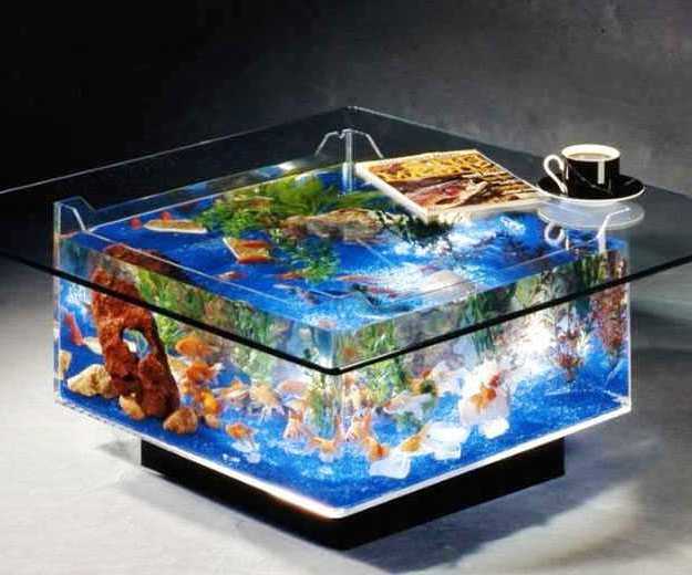  35 contoh model  dan harga meja  tamu aquarium  unik dari 