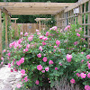 Secret Garden Of Beauty : Watch Secret Garden online | Free | Hulu | Secret garden ... / We want you to enjoy your the pampering doesn't end after the treatment.