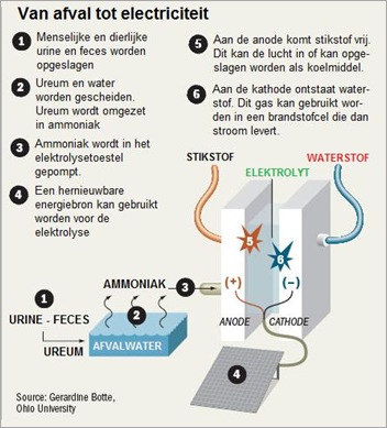 urinegas