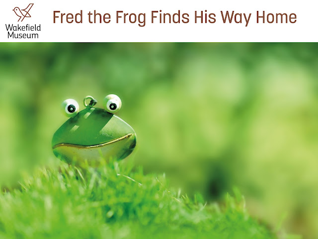Fred the Frog finds his way home at Wakefield Museum