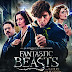 Fantastic Beasts And Where To Find Them in Hindi