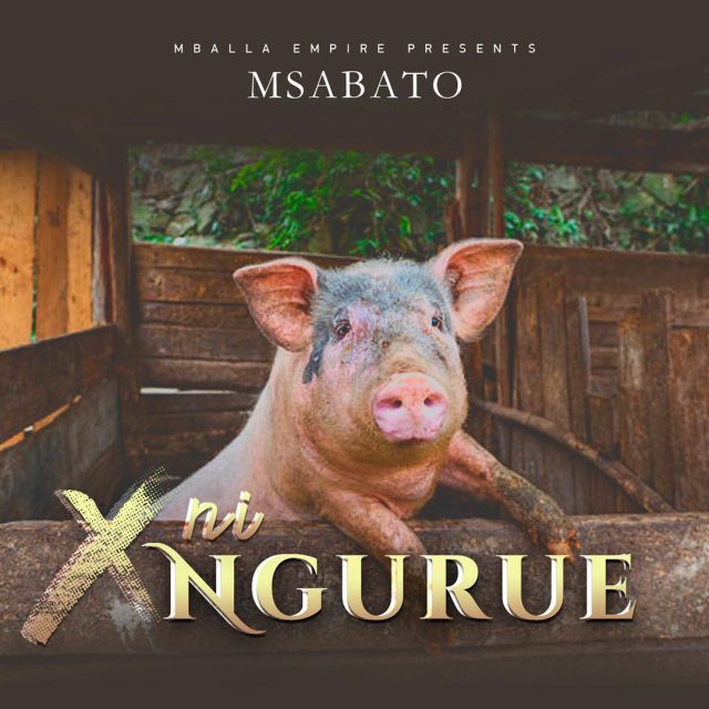 AUDIO | Msabato – X Ni Nguruwe | Download