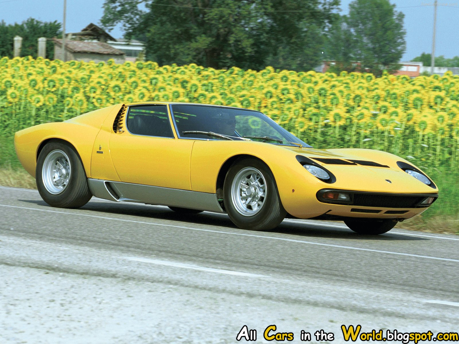 the lamborghini miura is a sports car built in italy by lamborghini ...