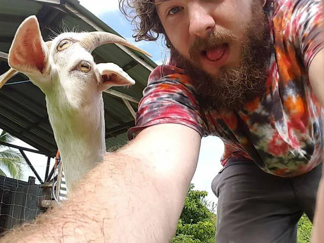 Don’t use Panorama with a moving goat.