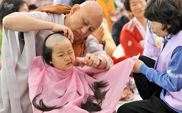 Funny Young Korean monks boy traditional bald | Funny animal picture of the day 22 05 2012 | Totally Cool Pix | Big Picture | funny boy | Traditional Bald | Chiniese | religious bald | young korean guy | cute boy