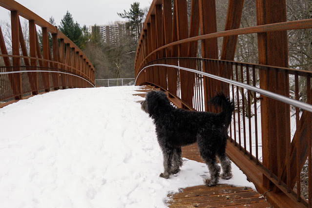 New bridge on the new East Don River trail