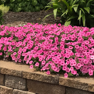 July Weekend Adventure - Tulsa Garden Center @ Woodward Park