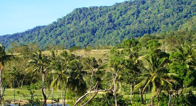 Hasil gambar untuk Gunung Honje