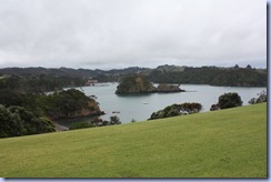 IMG_3589 IMG_3589
