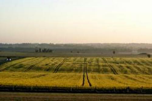 2Nd Crop Circle Near Stonehenge Uk 9Th May 2010