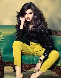 'Happy Bhag Jayegi' actress Diana Penty irked with Mika Singh for