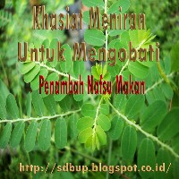 obat herbal untuk mengobati menambah nafsu makan