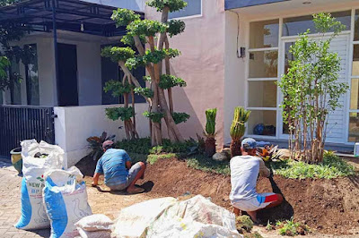 Tukang Taman Surabaya jasa tukang taman murah dan profesional