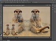 Professional Photoshop