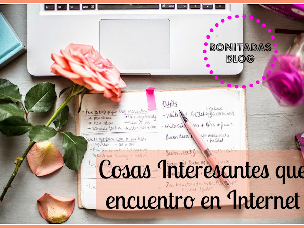 Cosas Interesantes Que Encuentro En Internet (XIV)