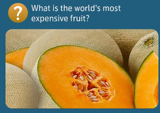 What is the world's most expensive fruit?