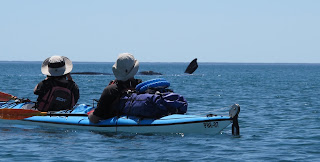 Expedicion en Kayak de Mar. Peninsula Valdes. Costa Sur del Golfo San Jose 3 dias