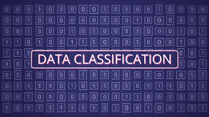 Data Classification Services for Data Science & Machine Learning