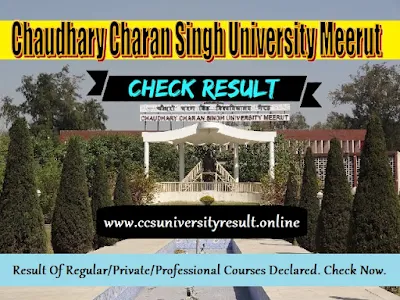 CCS University Result 2024 BA BSc BCom BBA BCA B.Ed