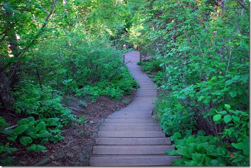 Stairs 1