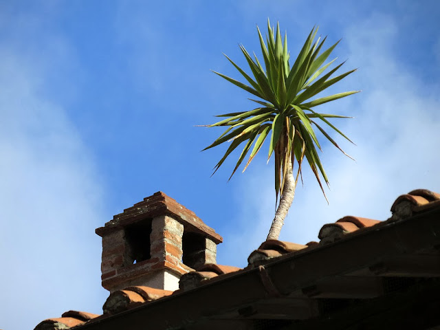 Strange things on the roofs, Pisa