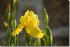 May_2