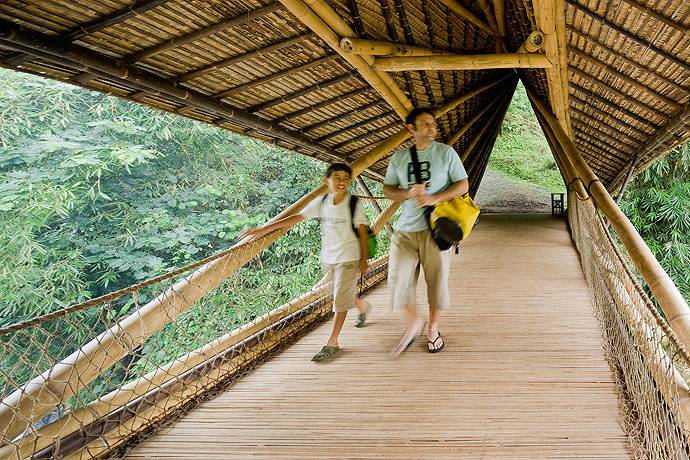 Inspirasi Populer Pont Bambou Bali