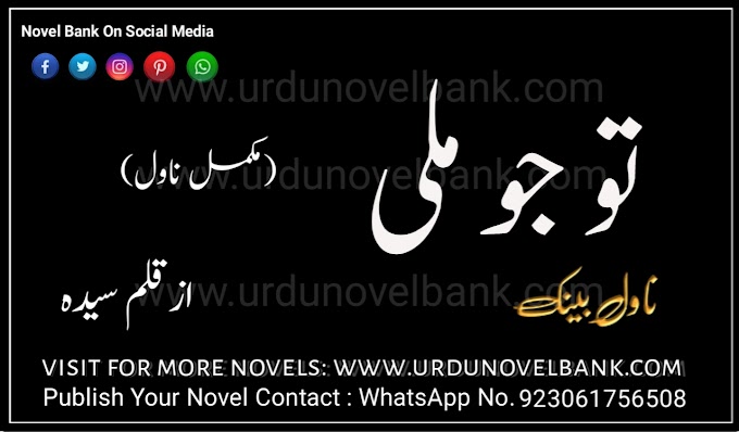 Tu Jo Mili by Syeda Complete Pdf Novel 