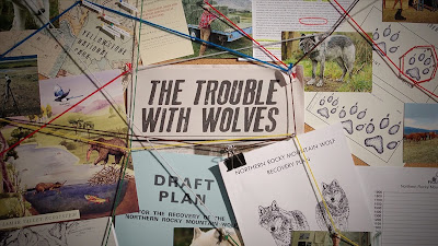 The Trouble With Wolves Documentary Image 4