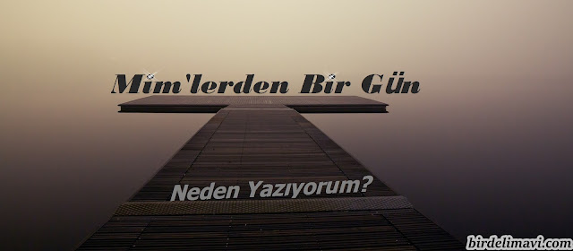 blog yazısı, bir deli mavi, mavi kız, neden yazıyorum